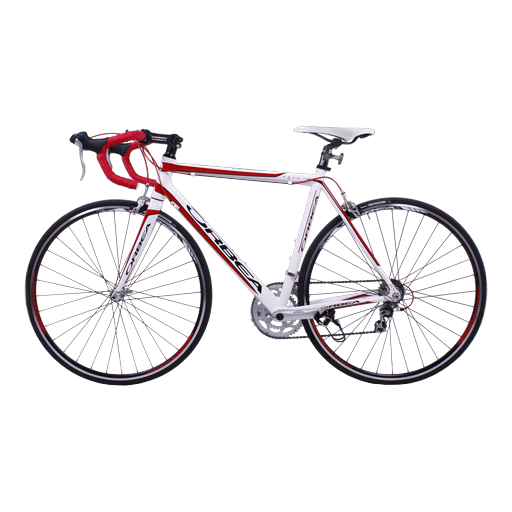 🚲